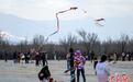 乌鲁木齐：市民郊野公园放风筝 乐享假日时光