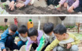 北幼恒嘉|走，去有风的地方！——北幼恒嘉中班组走进春天活动