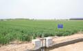 打通农田灌溉最后一公里！泾惠渠灌区持续开展末级渠系改造