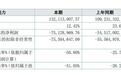 红酒世界2023年财报：归母净利润亏损约7513万元，连续第9年亏损