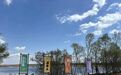 北大荒哈尔滨公司青年农场：小帐篷绘出“融城”经济新画卷