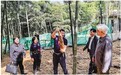 山沟沟“迸”出“致富笋” 杭州林下高效生态模式打开增产增收新通道