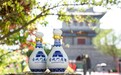 青岛古城门酒业：传承“古遗六法”手工酿制 打造中国高端老酒
