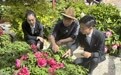 工行河南省分行做实做细“五篇大文章”：到牡丹花开和茶叶飘香的地方