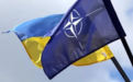 乌国防部：乌克兰受邀加入北约联合作战实验室网络