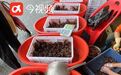个头小价格低 今年的小龙虾不景气？养殖户：不少龙虾店倒闭了