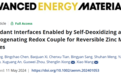 齐鲁工大本科生在国际权威期刊《Advanced Energy Materials》发表最新研究成果