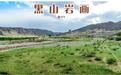 万年前的“动植物图鉴”刻在石头上　保留消失物种印记