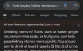 谷歌AI摘要功能闹大笑话：建议用户大量喝尿排出肾结石