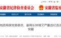 安徽多人被处理！“无视组织挽救”的厅干被开党籍