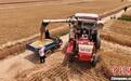 “中原粮仓”河南麦收近半 已收获超4046万亩