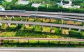 6月15日起郑州铁路将开行图定旅客列车1300列