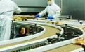 紫燕食品洞察市场趋势，创新产品策略，满足消费者多元化需求