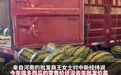 价格大跳水！有的低至几毛钱一斤，很多人爱吃，正大量上市