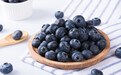 分享新品种和栽培管理新技术 为青岛蓝莓产业把脉定向
