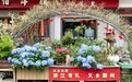 家门口的“共享系列” ，让这里的居民幸福感满满！