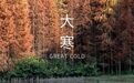 24 FESTIVALS丨大寒：寒极始暖，万物春生