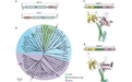 超越CRISPR，精确切割靶点插入序列，新基因编辑工具SeekRNA面世