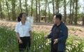 看！金川区这儿庄稼实现“喝水自由”