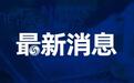 青岛市纪委监委最新通报：6人受处分