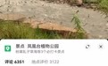 山东济宁辟谣“出现地震前兆”