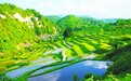 梯田，折叠灵动的智慧良田