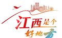 万千气象看中国丨小菌菇释放致富大“蘑”力