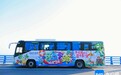 全线覆盖！海南环岛旅游公路观光巴士这些线路7月13日开通
