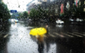 雷阵雨+中到大雨+局部暴雨！济南最新预报来了