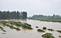 南阳遭遇强降雨 被淹村庄群众安全转移