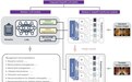 国际首个，中国团队开发糖尿病诊疗多模态大模型DeepDR-LLM