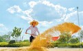 兴国县：天晴晒谷忙（图）