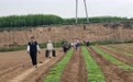 庄浪“药”闻：“村企联建”让中药材产业链式发展