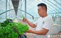【我们的家园　幸福美好新甘肃】"兰州菜"丰盈世界餐桌