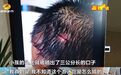 游泳馆“无证办学”？长沙9岁男孩初次上课头部受伤，家长质疑其为“三无”场馆