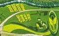 保定：三产融合 特色农业“跨界出圈”