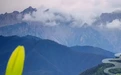 12张海报　带你看沿太子山旅游大通道的夏日美景