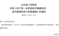 山东凭什么“走在前”？40条新政“稳进”经济