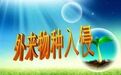 阻击生态“入侵者” | 湖南防控外来入侵物种调查