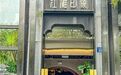 金梧桐丨江滩印象