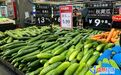 蔬菜涨价，为何黄瓜最猛？