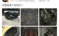 爆火“悟空”藏着飞来峰！浙里的国宝捂不住了