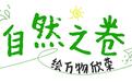 用涂鸦打开靖港古镇的秋天