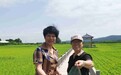 稻虾田里说丰年