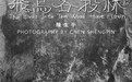 2024陈生平《飞鸟各投林》主题摄影展将在北京“土作社”画廊展出