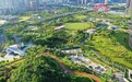 赣州蓉江新区探索“公园+生态价值转换”新路径