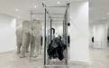 DOVER STREET MARKET BEIJING 2024秋冬焕新开季