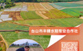 一组海报 带你学习台山市新型农业经营主体典型案例