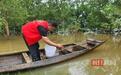 极度濒危物种鳤在孝感朱湖国家湿地公园恢复繁衍