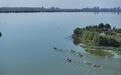 “京津冀最美湿地”河北衡水湖开湖捕鱼